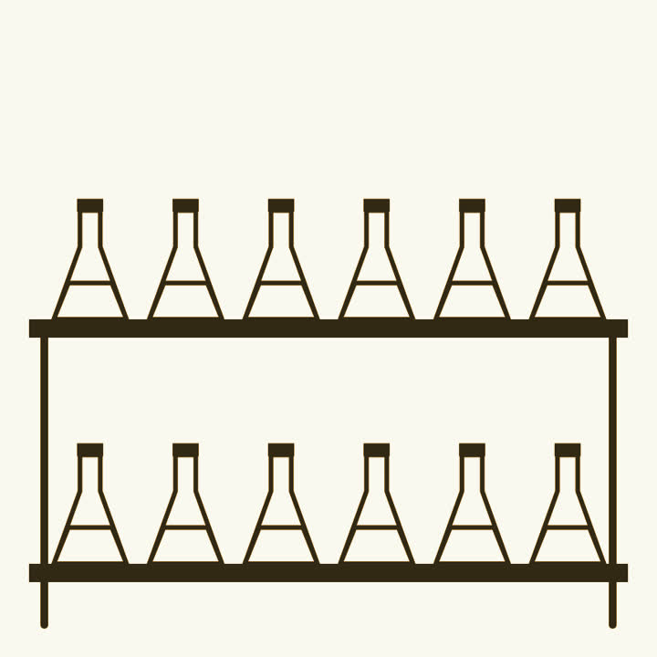 A rack holding twelve flasks in two rows of six