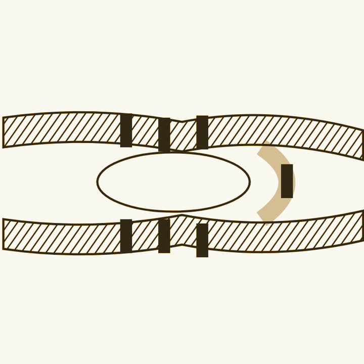 A river splitting around an island in a city, crossed by seven small bridges