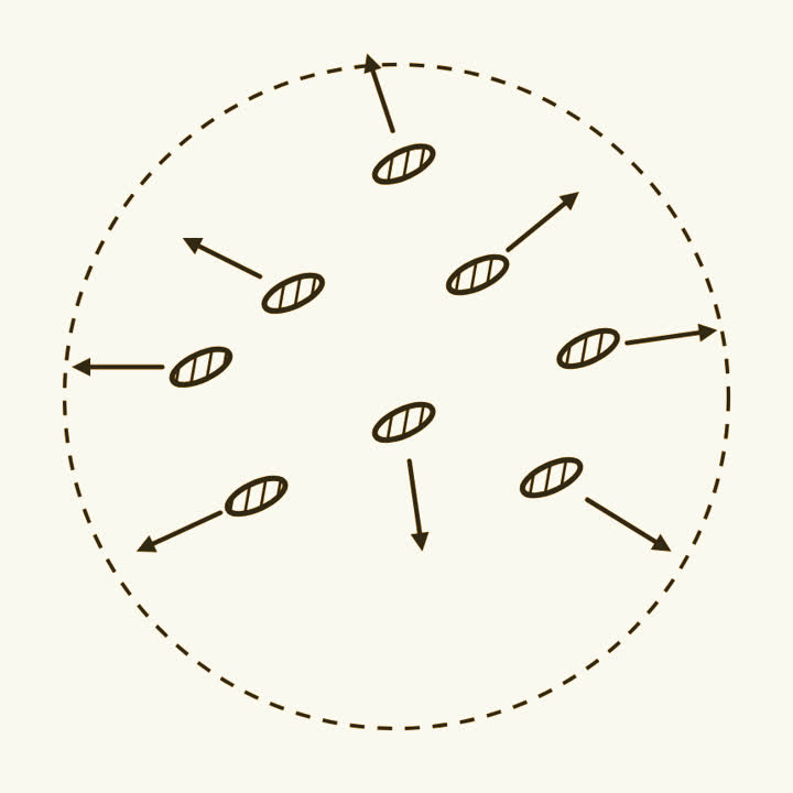 A cluster of small galaxies with long arrows showing them moving fast in different directions