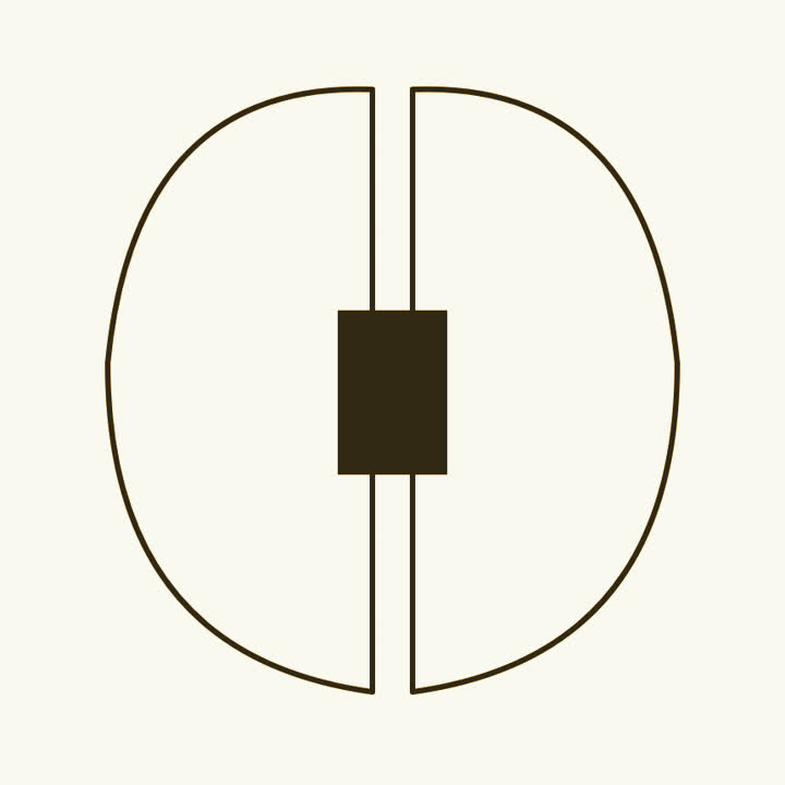A brain seen from above, its two halves joined by a shaded band