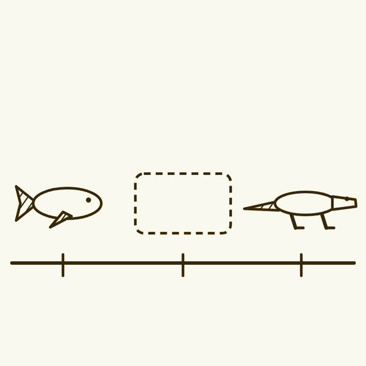 A line of time with a fish near one end, a four-legged animal near the other, and an empty dashed slot between them