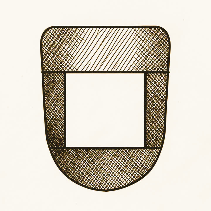 A tongue drawn as a chart divided into separate hard edged zones
