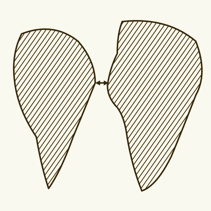 Two continents side by side, the bulge of one fitting the notch in the other