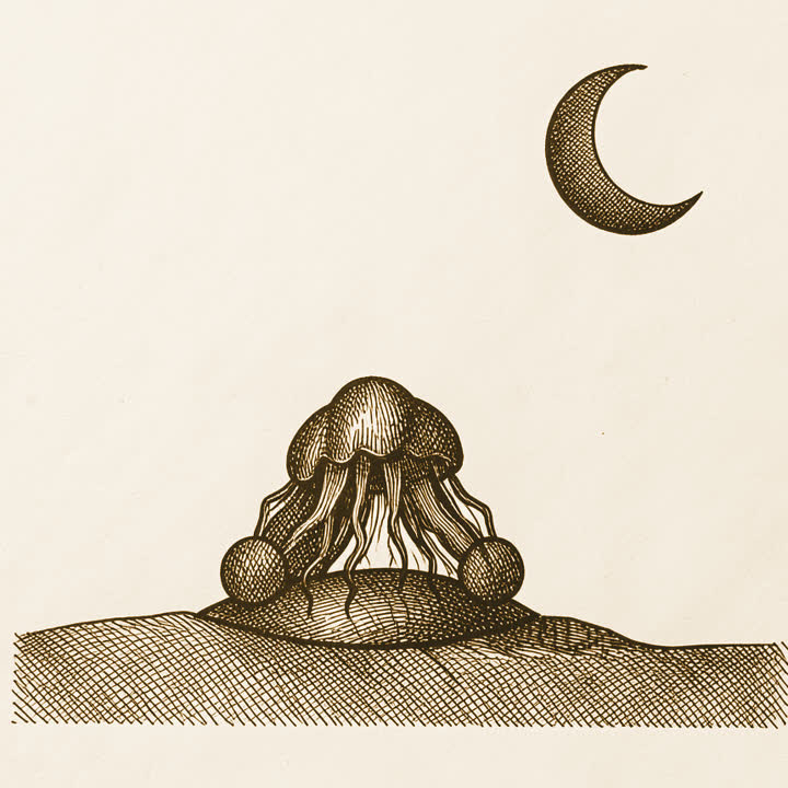 An upside down jellyfish resting on sand under a crescent moon